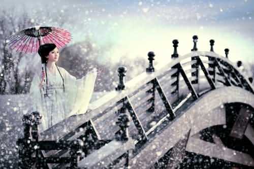 江南烟雨,惆怅了一季落花