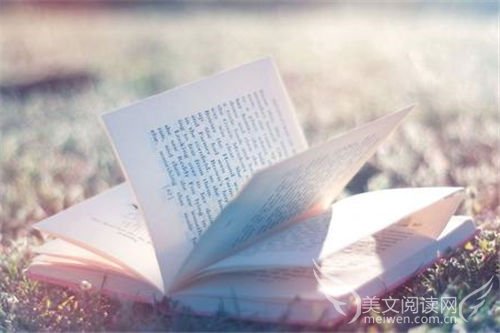 青春是一本太仓促的书