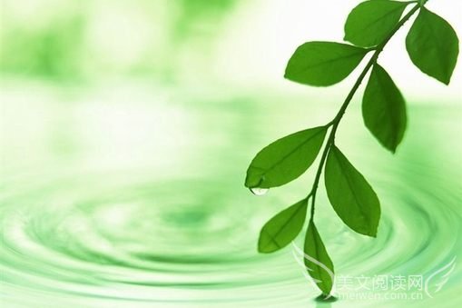 美得让人心疼的句子大全