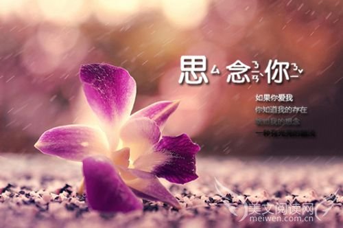爱你,如果忘了时间
