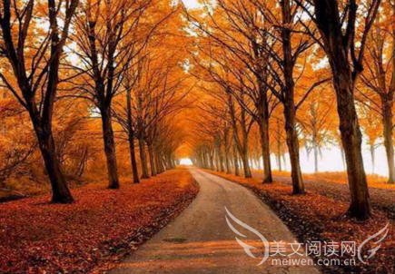 时隔境迁，情怀未变