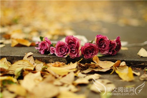 清幽岁月,我心所往