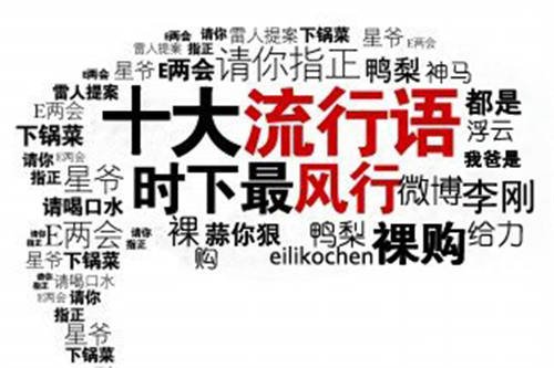 2015年十大流行语