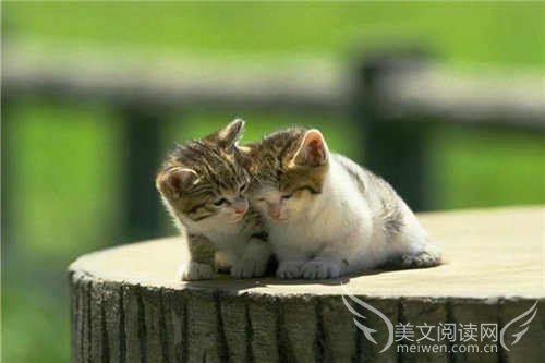 2016幽默搞笑签名合集