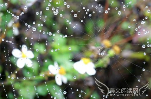 描写雨的美文摘抄