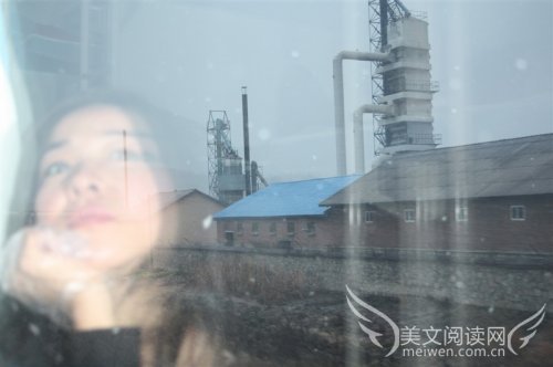 透明的泪珠