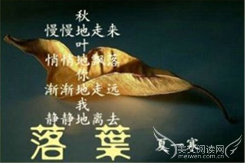 我的要求就一点点