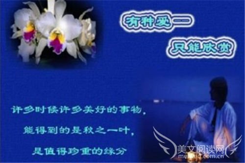 夜雨纷飞