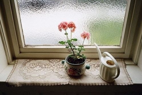 一个背影,会让我想起一个人