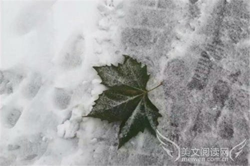我们，终将别离