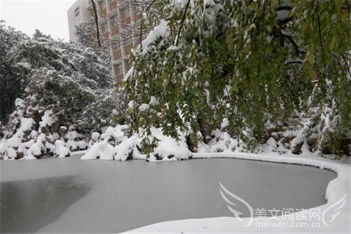 画冬
